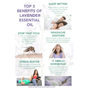 Original Laverder Essentail Oil2